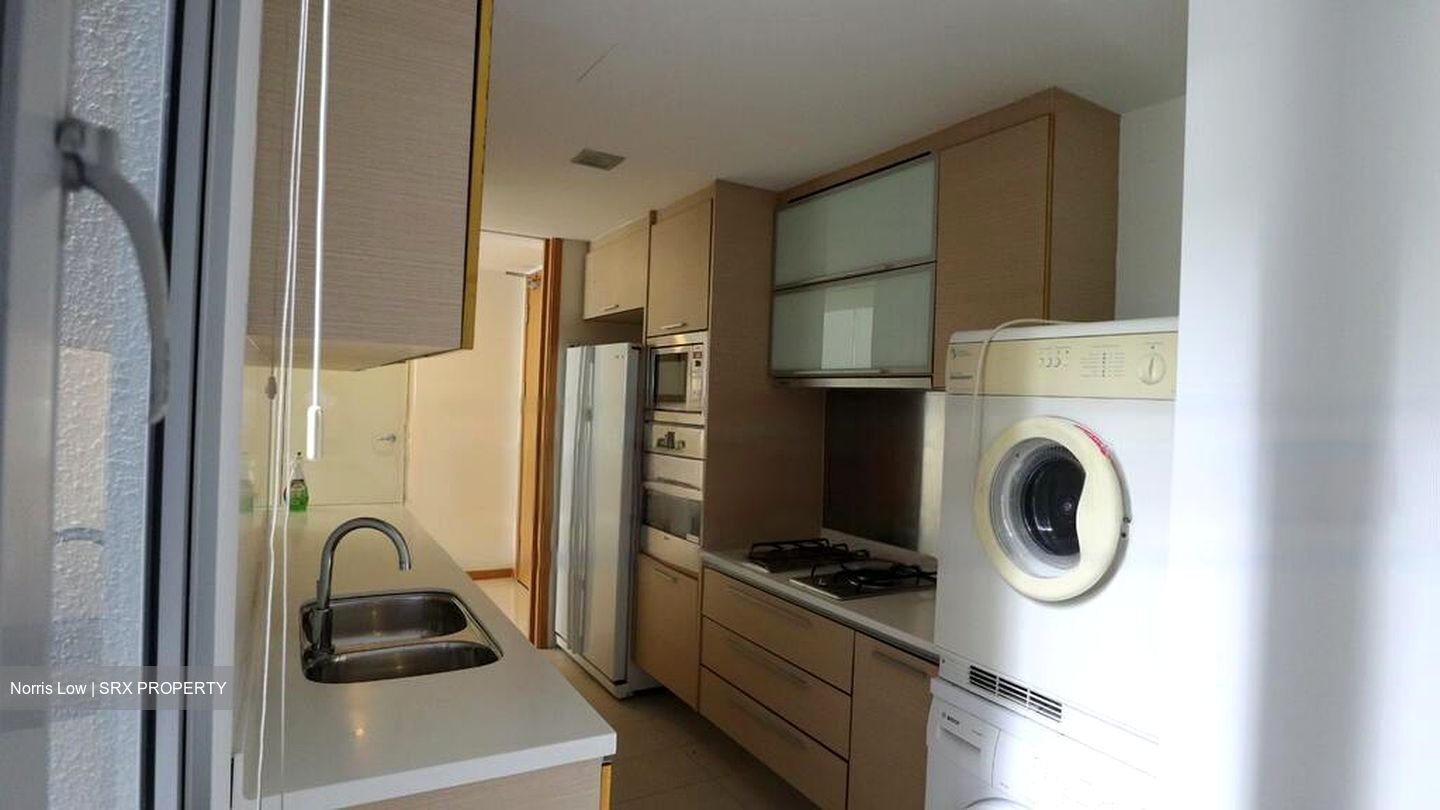 8 @ Mount Sophia (D9), Condominium #475900541